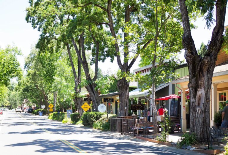 Murphys California Wine Country: Best Wineries & Where to Eat in This Charming Sierra Foothills Town