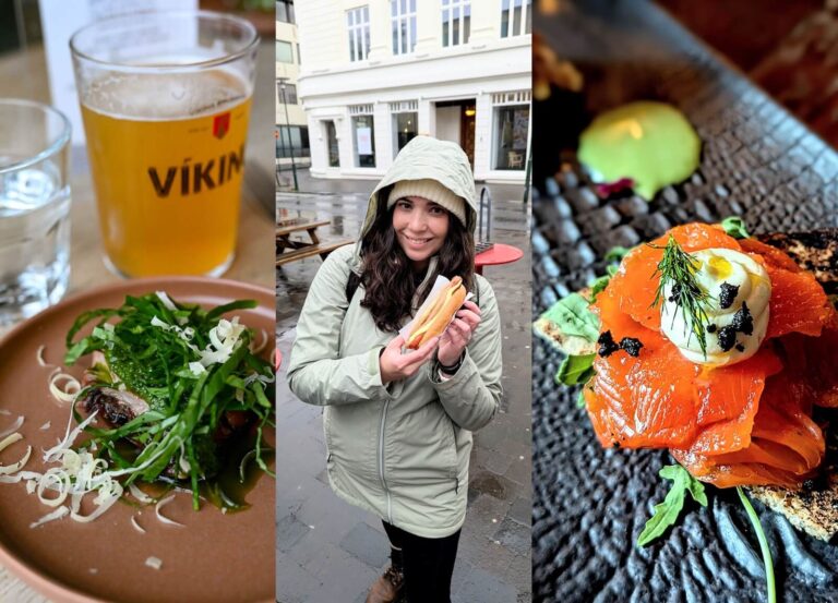 Reykjavík Food Tour Review: The Best Thing to do In Reykjavík for Iceland First-Timers